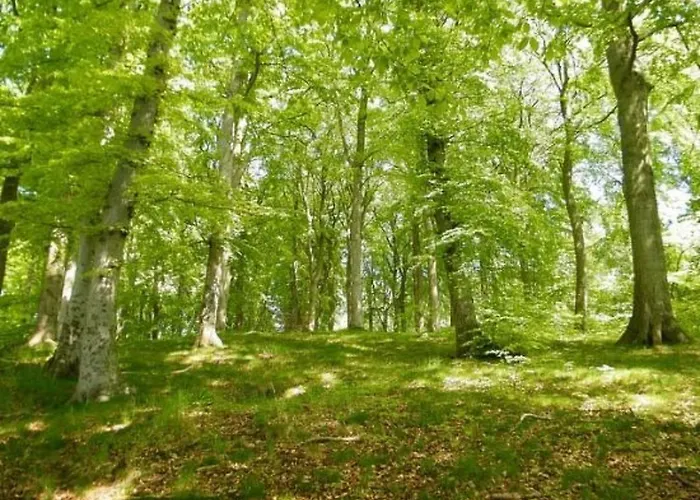 Apartmán Celia By Interhome Sellin (Rugen)